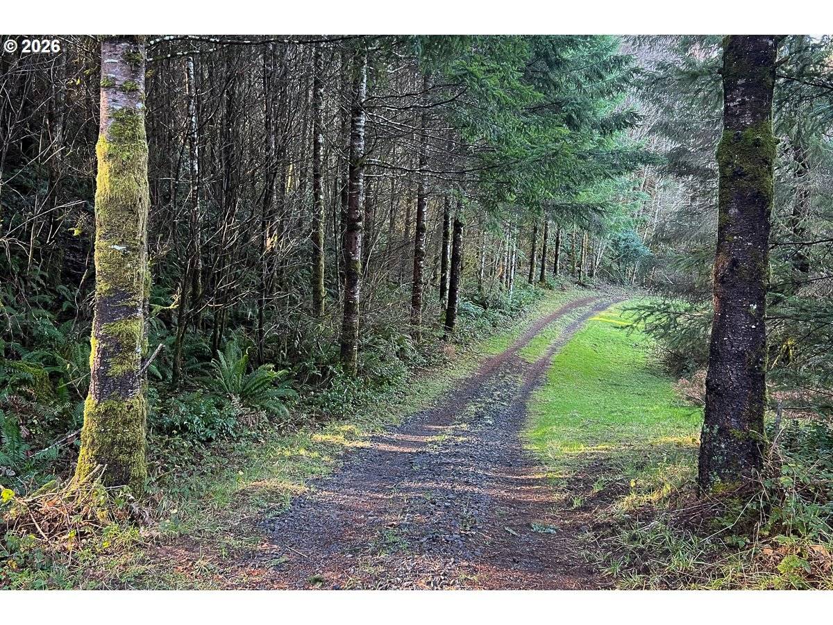 0 Bishop Creek RD, Deer Island, OR 97054