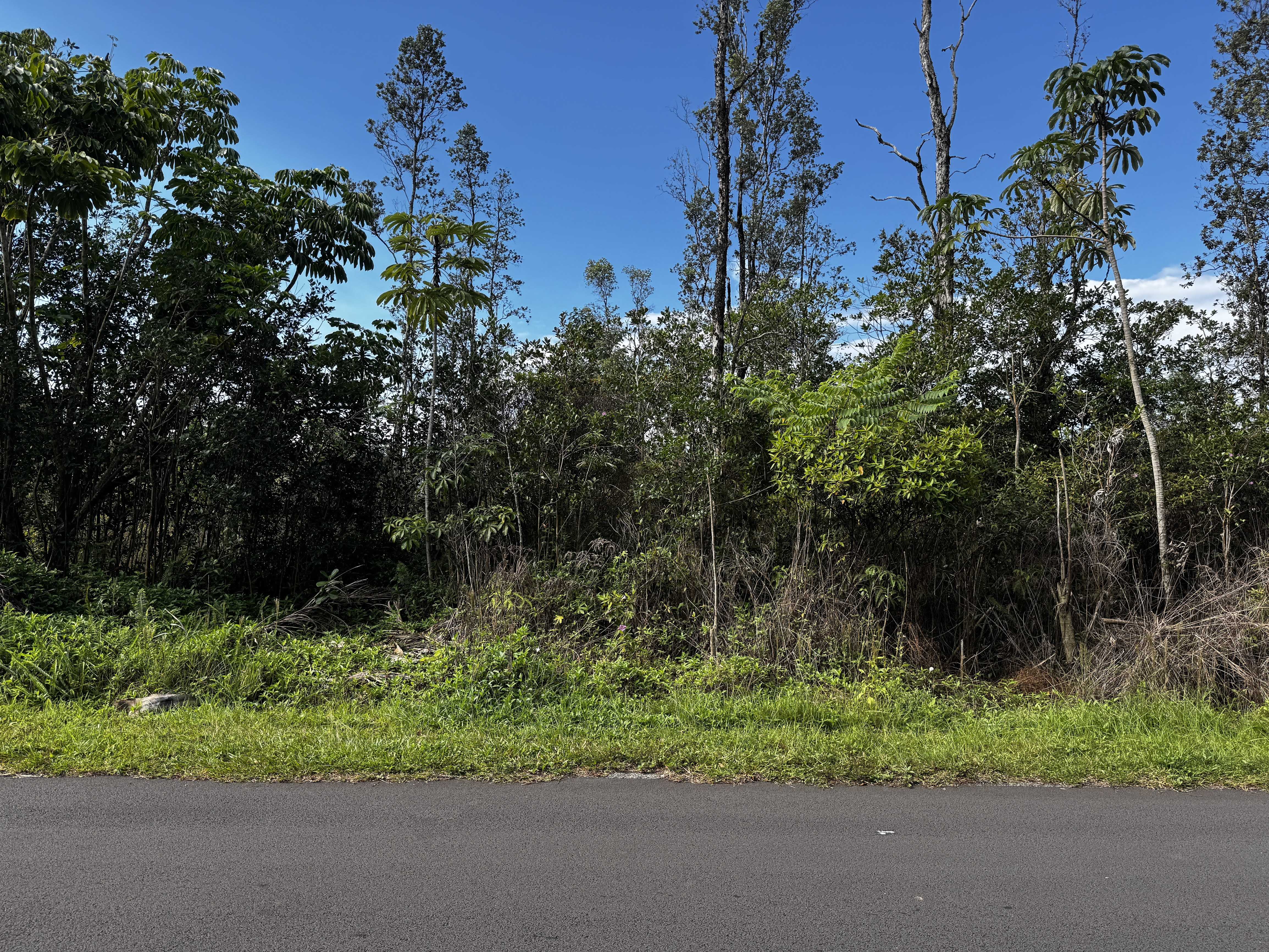 Pahoa, HI 96778,16-2100 GARDENIA DR