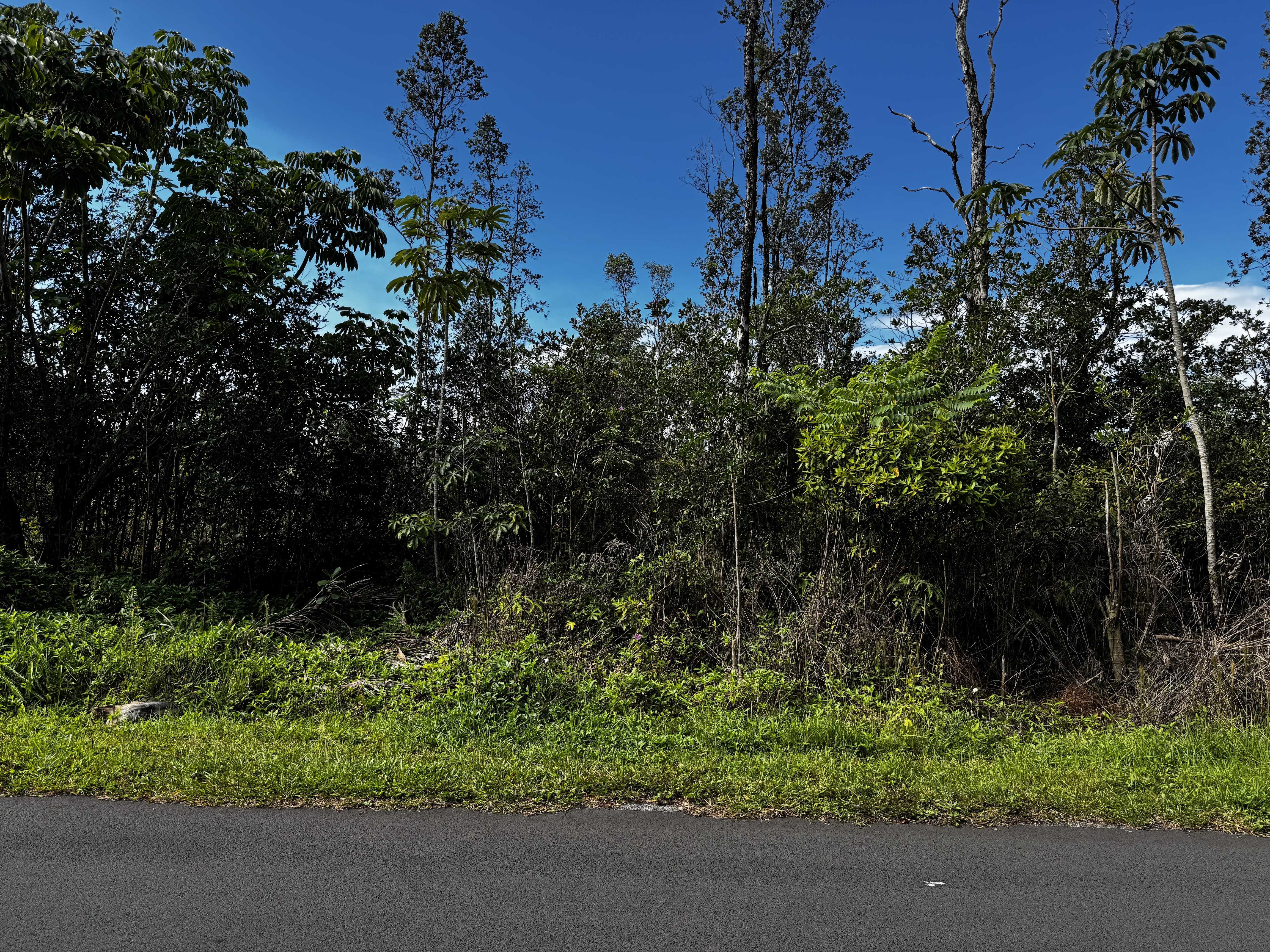 Pahoa, HI 96778,16-2100 GARDENIA DR