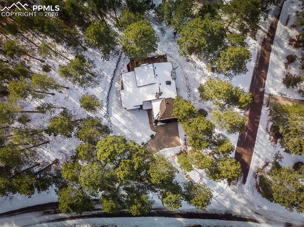 Monument, CO 80132,20070 Lofty Pine LN