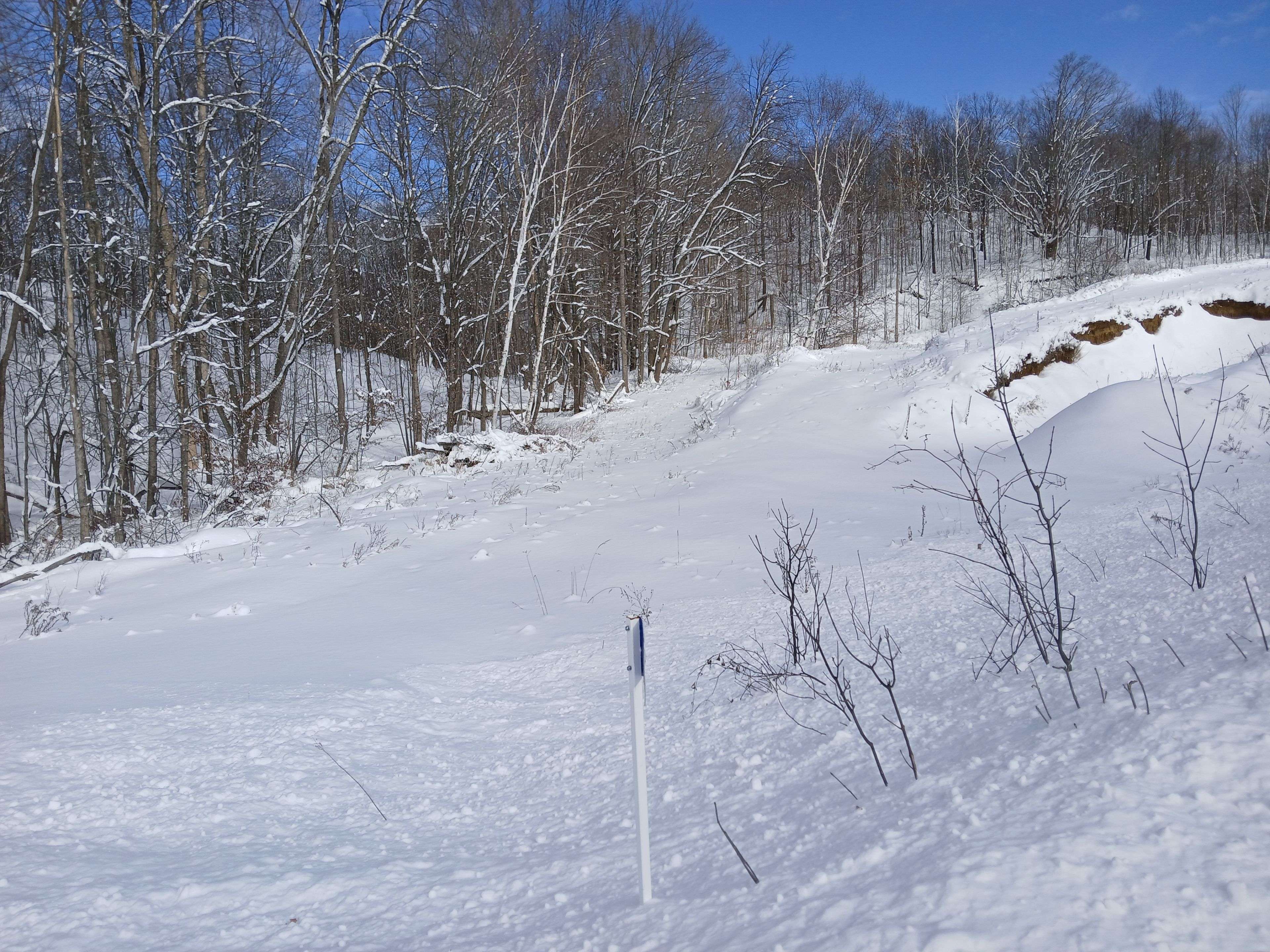 Tay Valley, ON K0G 1X0,406 Crozier RD