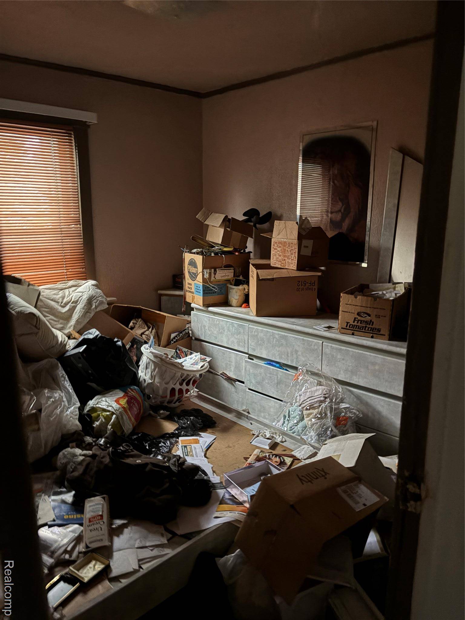 Detroit, MI 48234,19307 Fleming ST