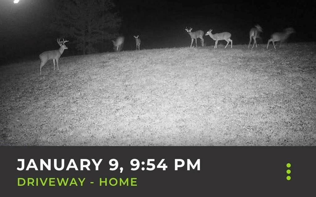 Lockesburg, AR 71845,150 Twin Creeks Lane