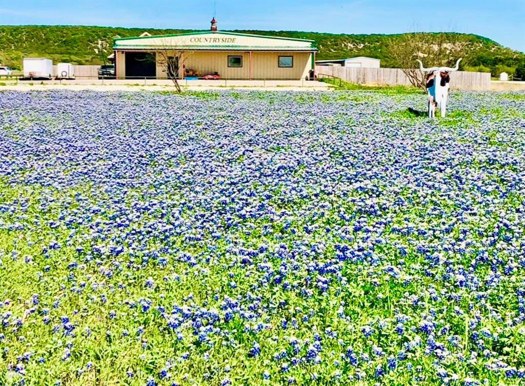 Tuscola, TX 79562,101 Cedar Gap Trail