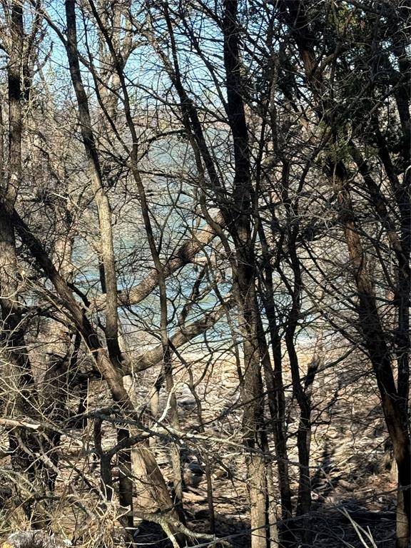 Morgan, TX 76671,729 County Road 1304