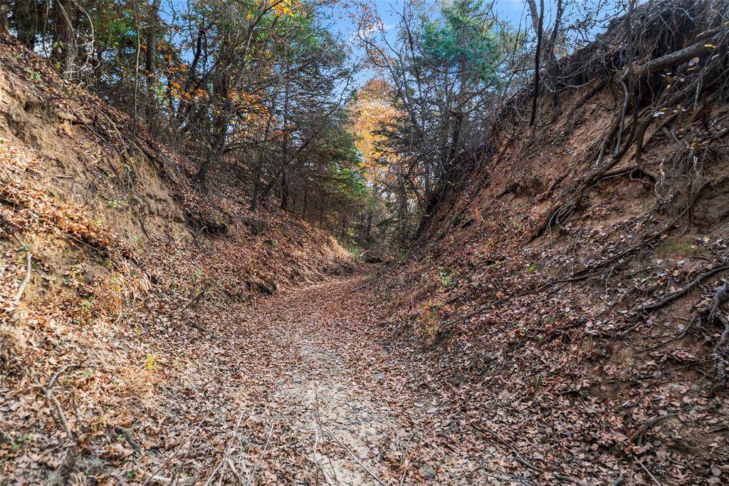 Forestburg, TX 76239,2409 School House Road