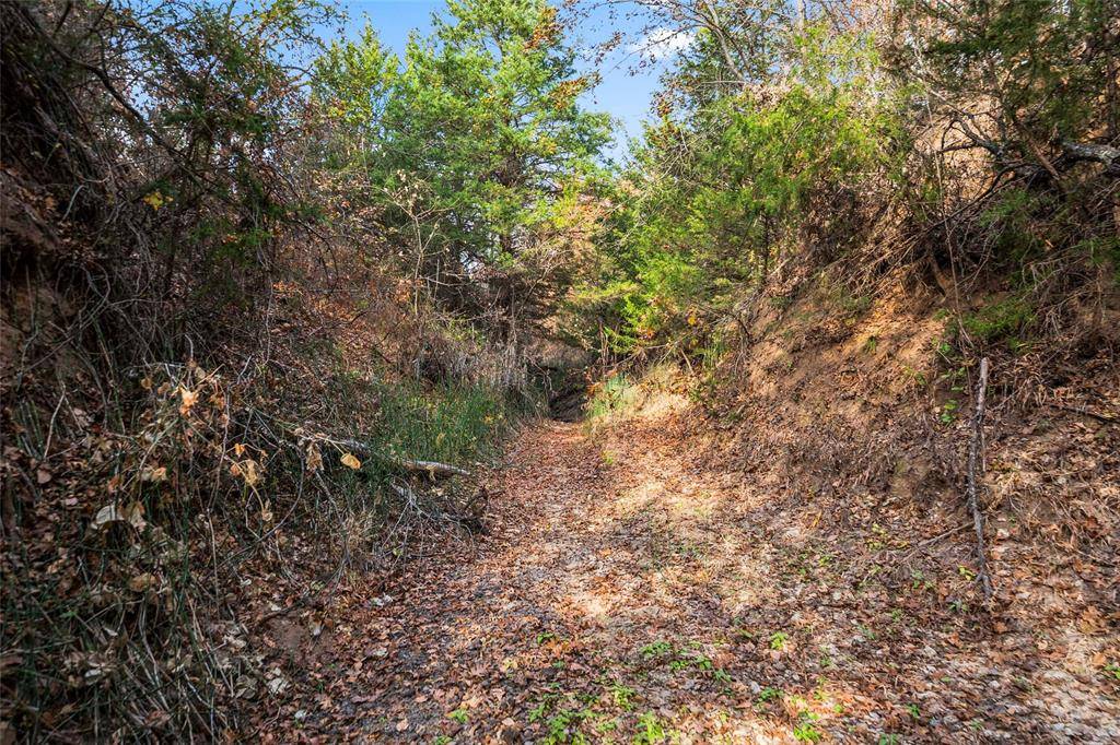 Forestburg, TX 76239,2409 School House Road