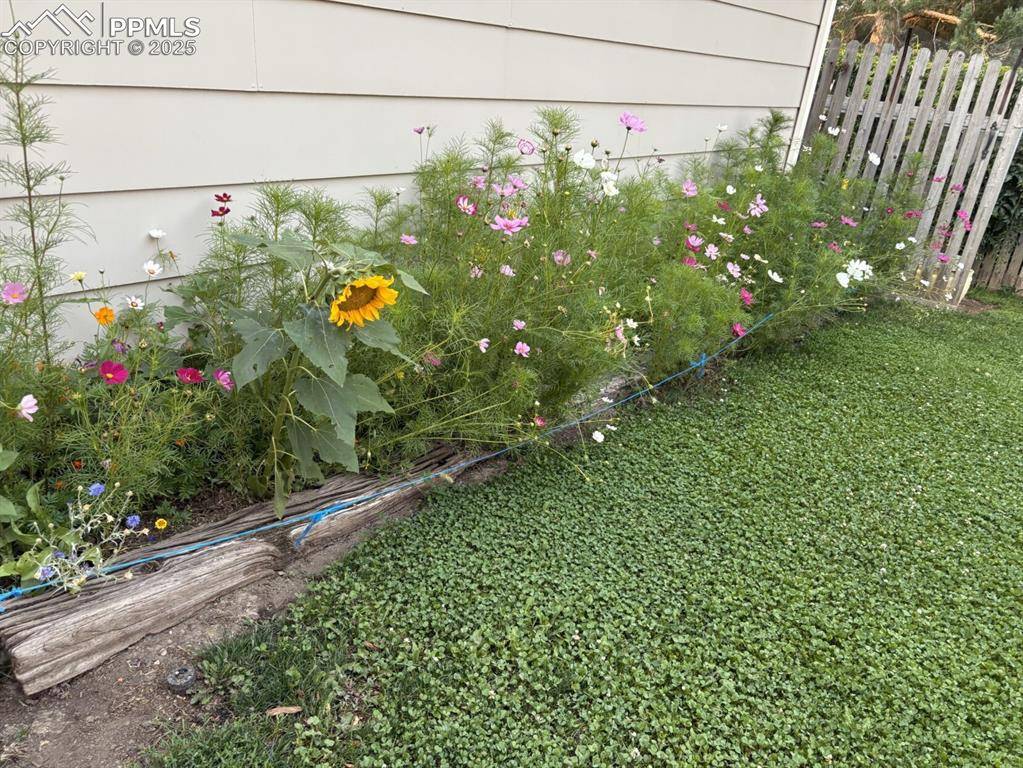 Colorado Springs, CO 80909,4127 Palmer Park BLVD