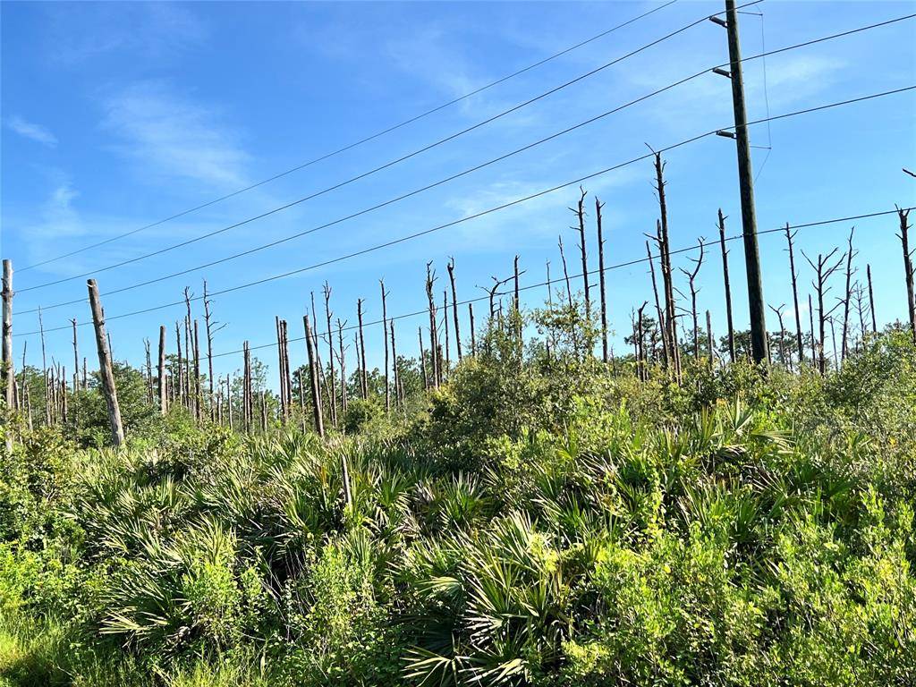 Okeechobee, FL 34972,34964 N Hwy 441