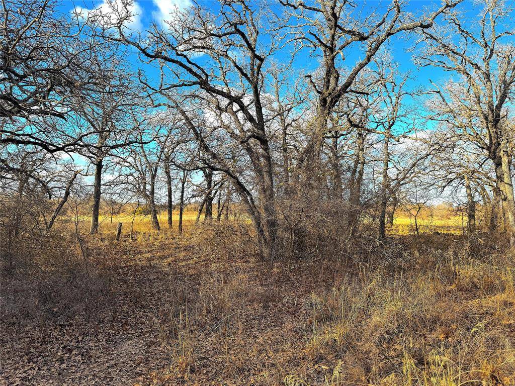 Poolville, TX 76487,17101B Fm-920