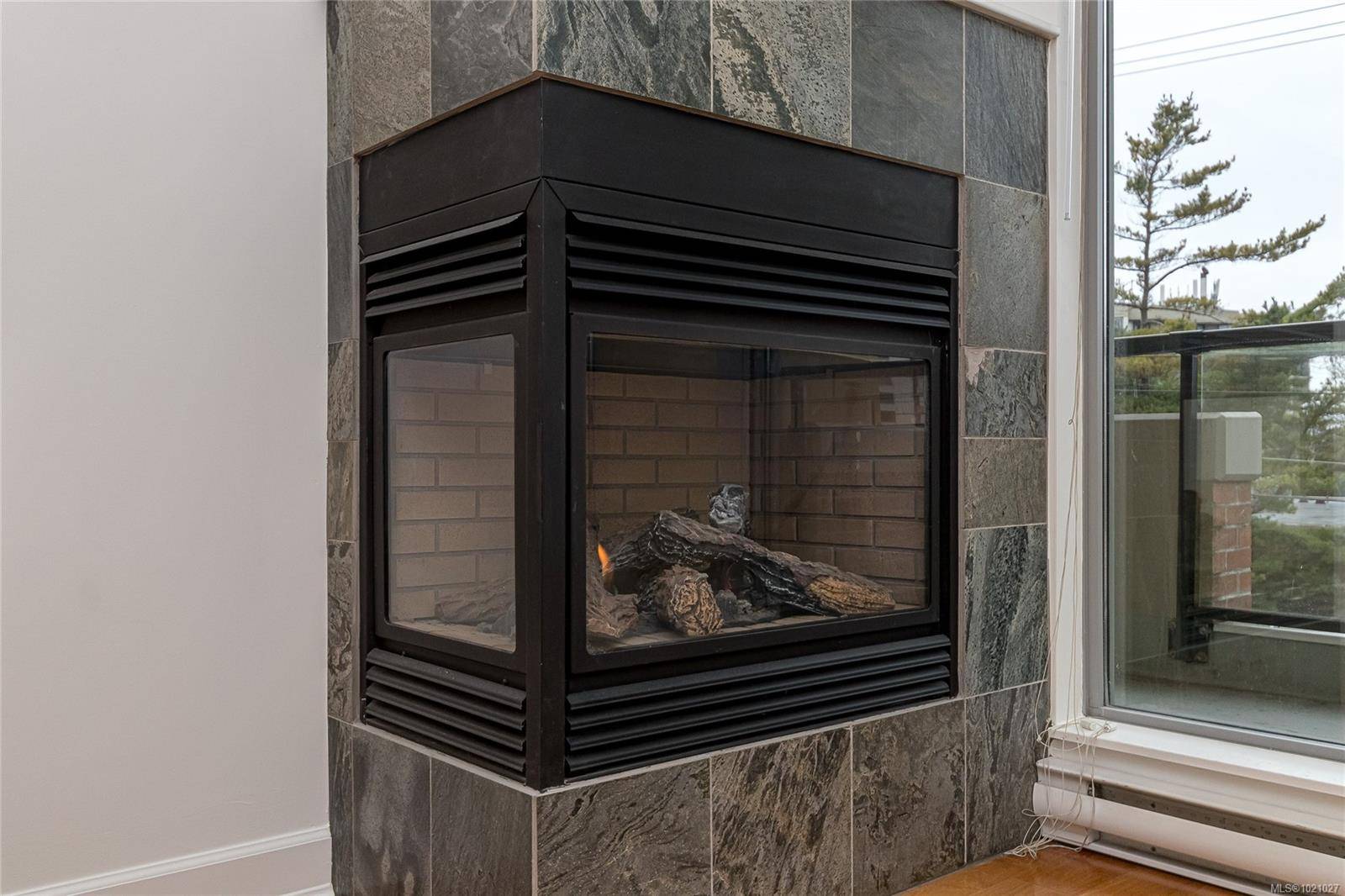 Victoria, BC V8V 2G6,225 Menzies St #307