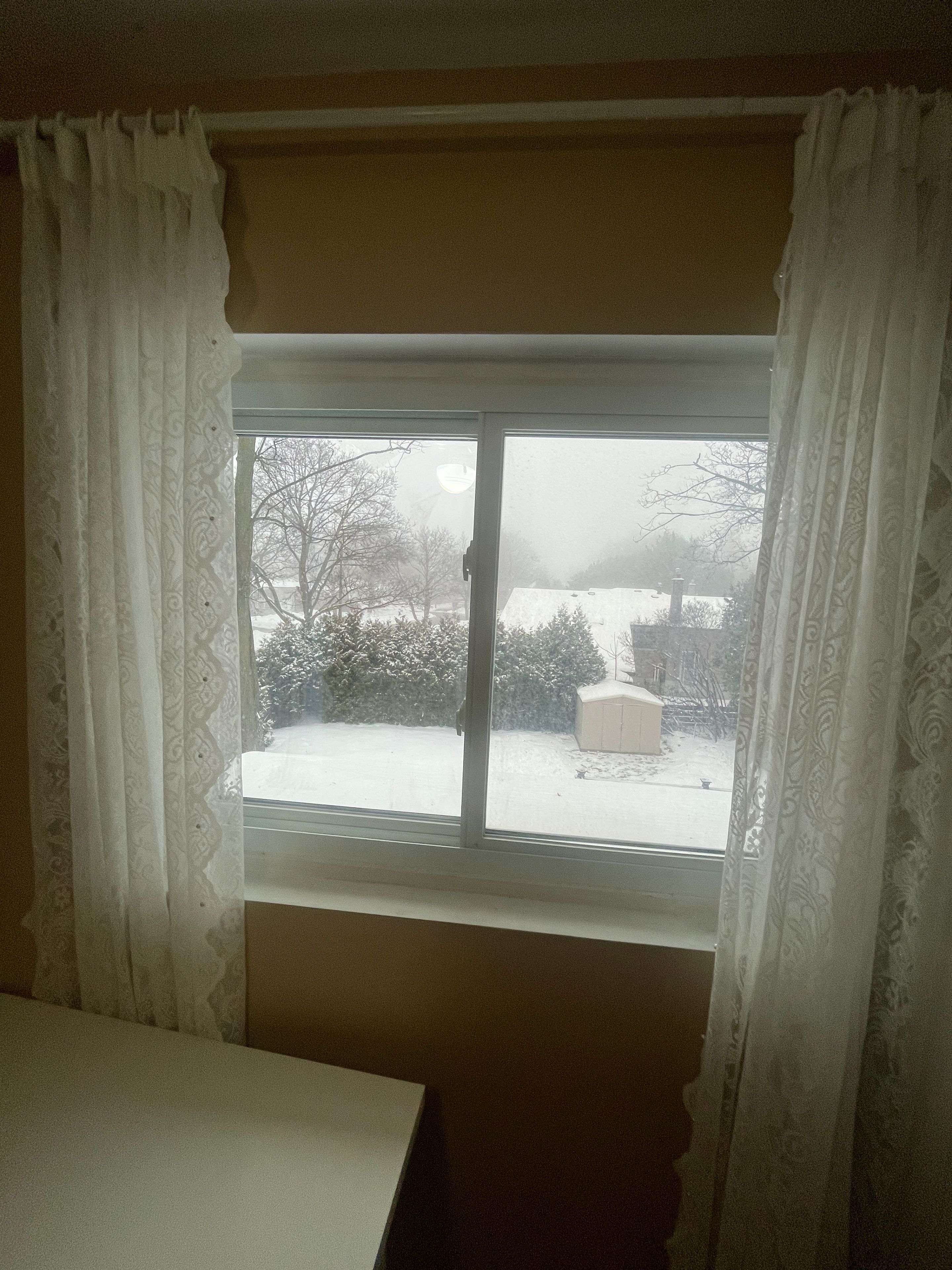 Toronto E09, ON M1G 3P4,Address not disclosed