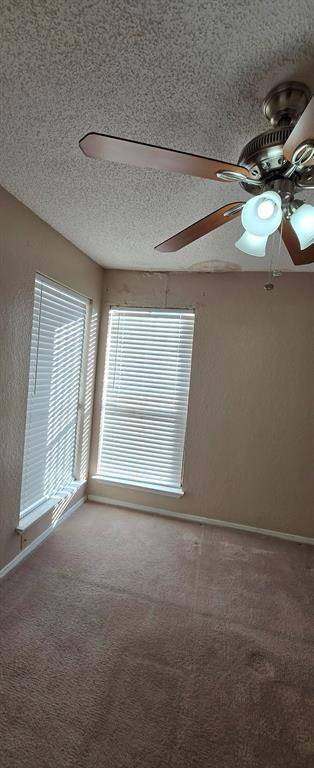 Dallas, TX 75243,9811 Walnut Street #301