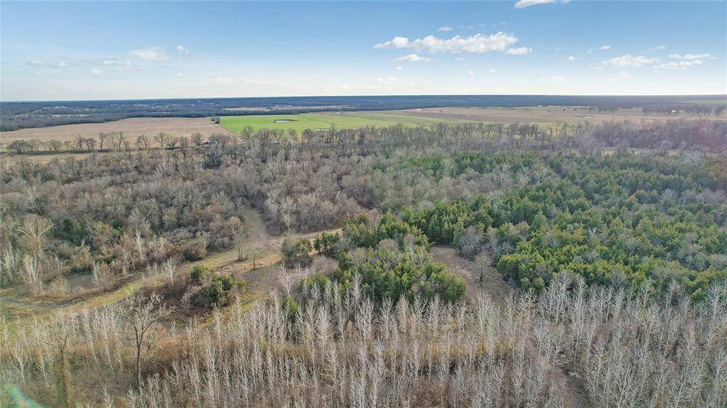 Powderly, TX 75473,9891 Farm Road 906