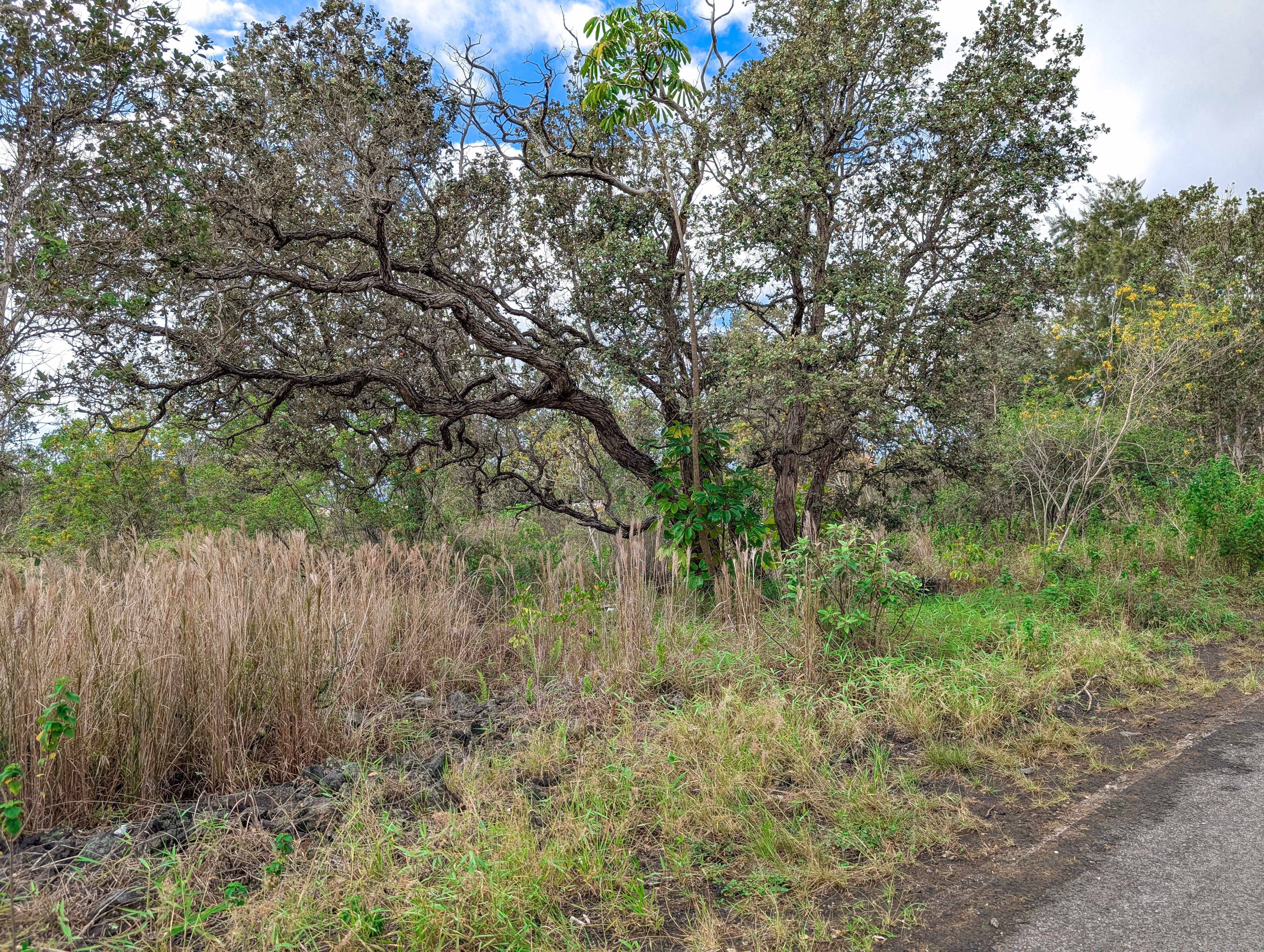 Ocean View, HI 96737,92-1524 CORAL PARKWAY