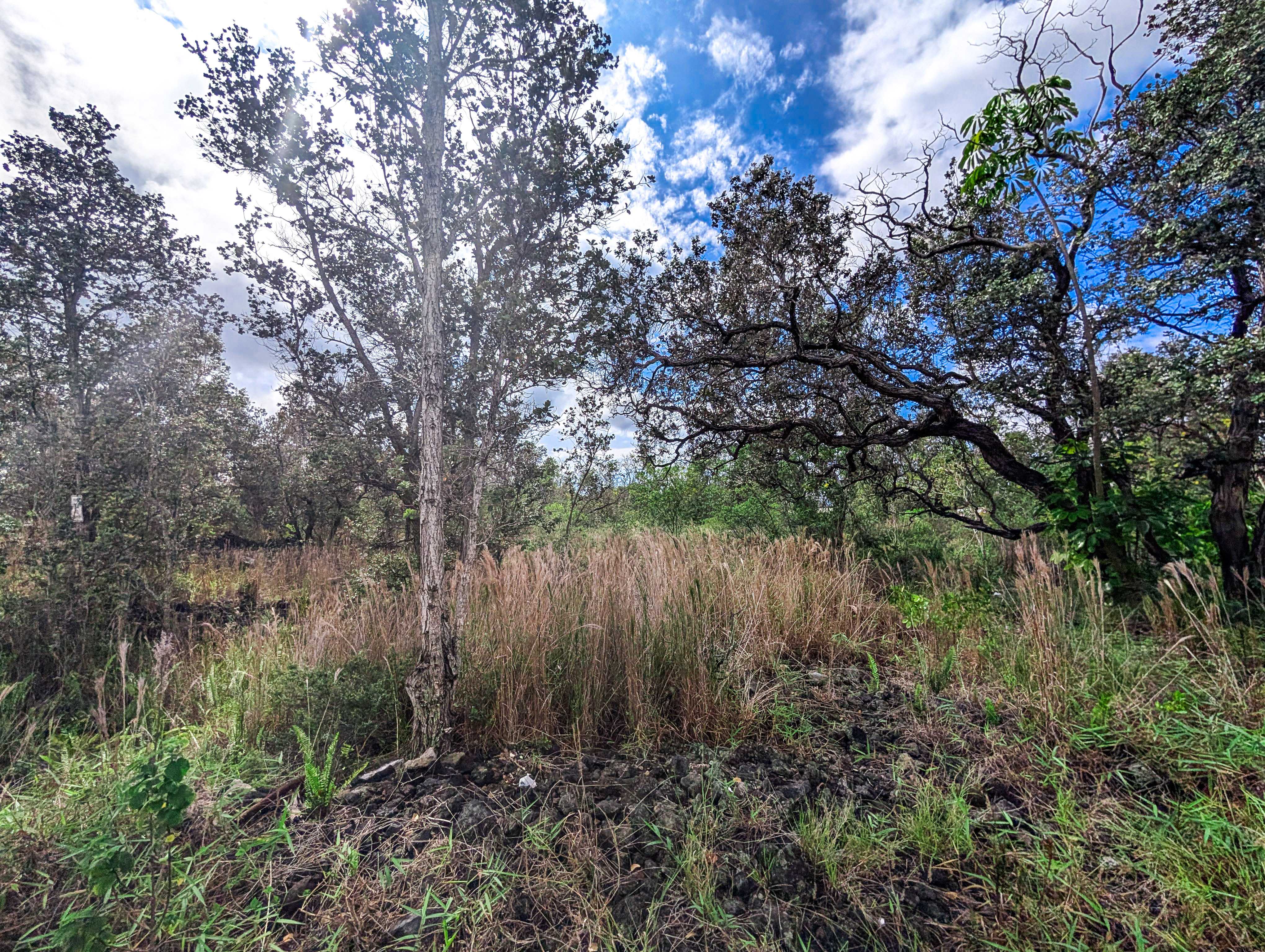 Ocean View, HI 96737,92-1524 CORAL PARKWAY