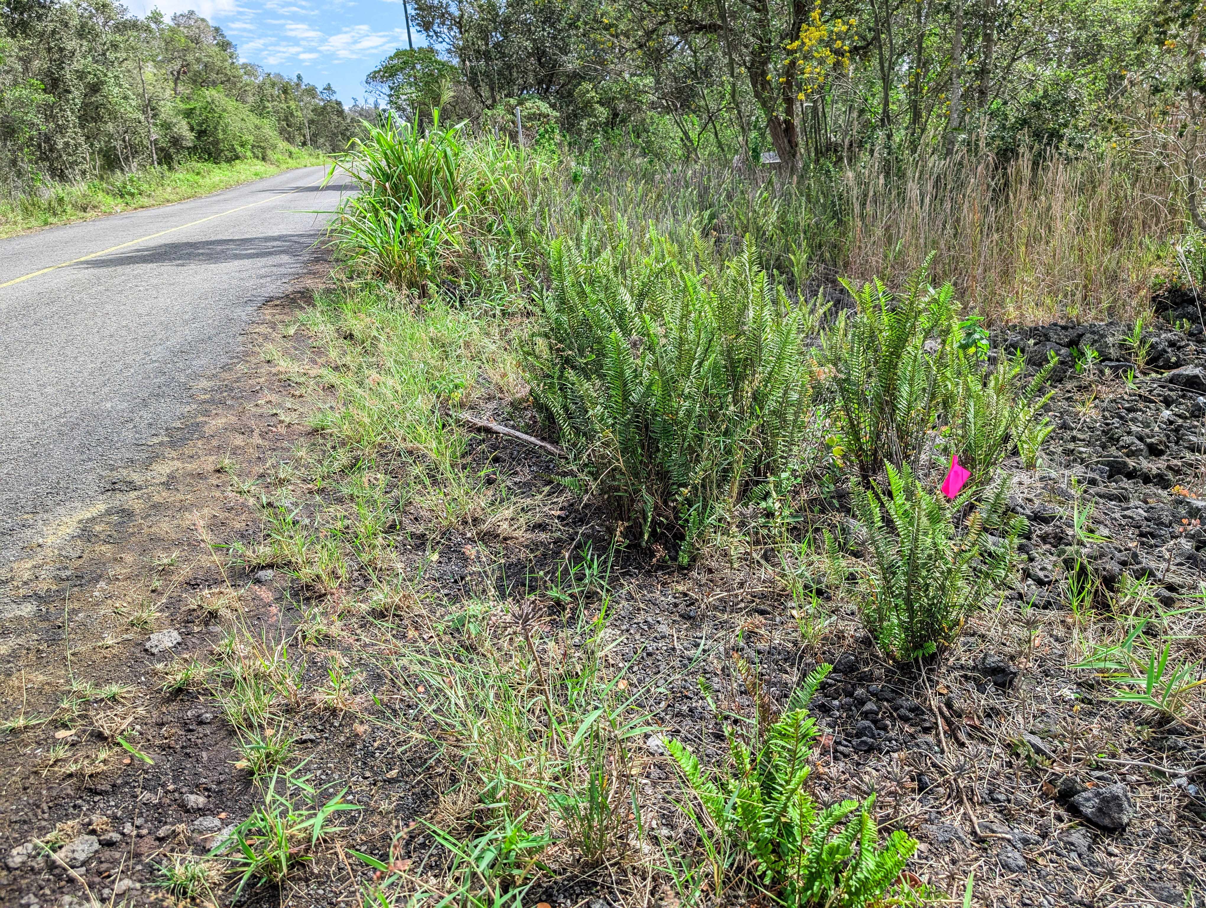 Ocean View, HI 96737,92-1524 CORAL PARKWAY