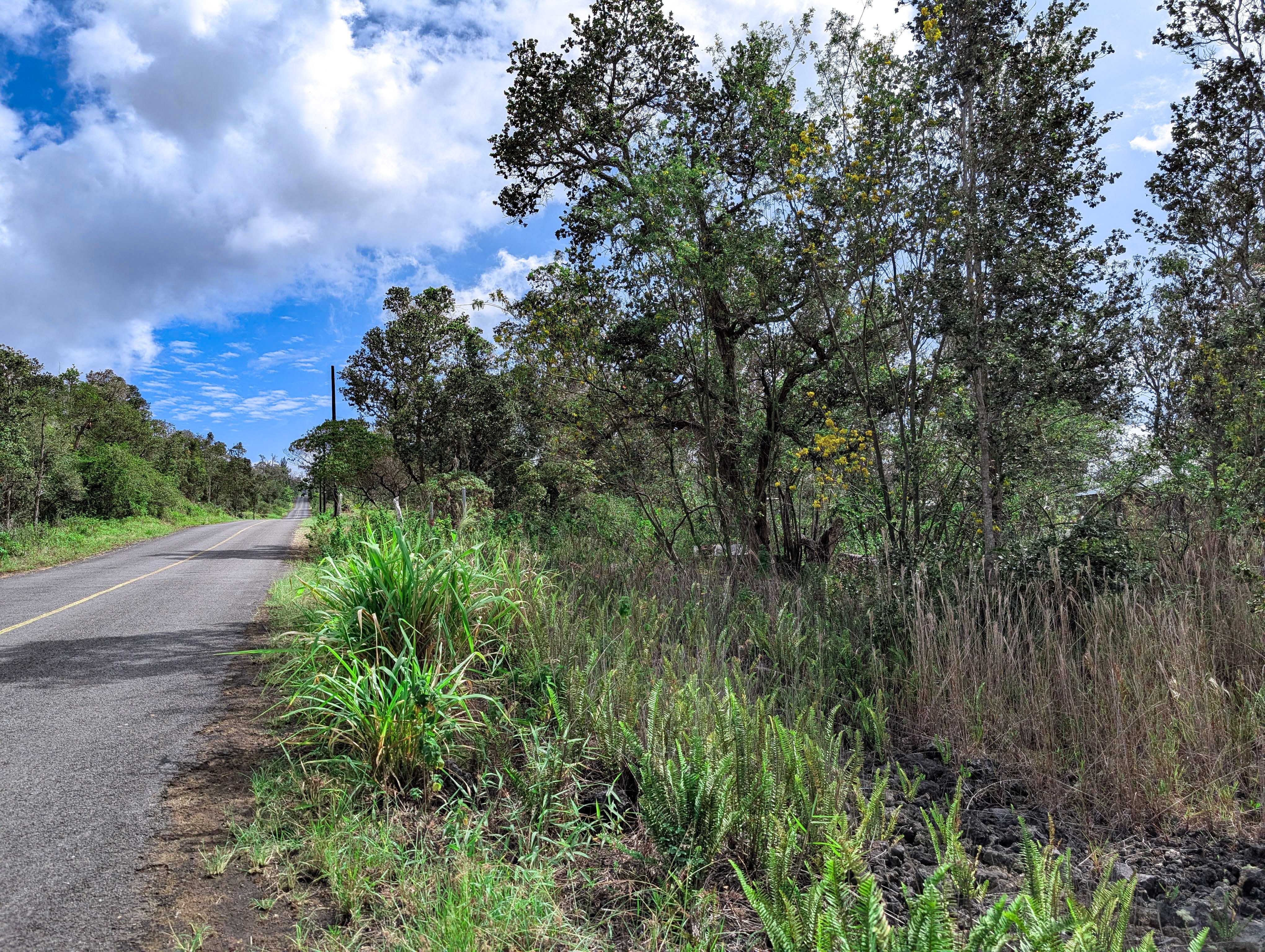 Ocean View, HI 96737,92-1524 CORAL PARKWAY