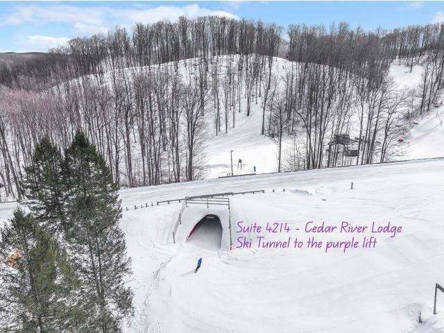 Bellaire, MI 49615,2400 Troon South