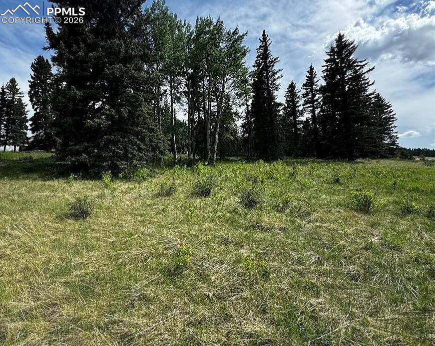 Divide, CO 80814,199 Joshua RD