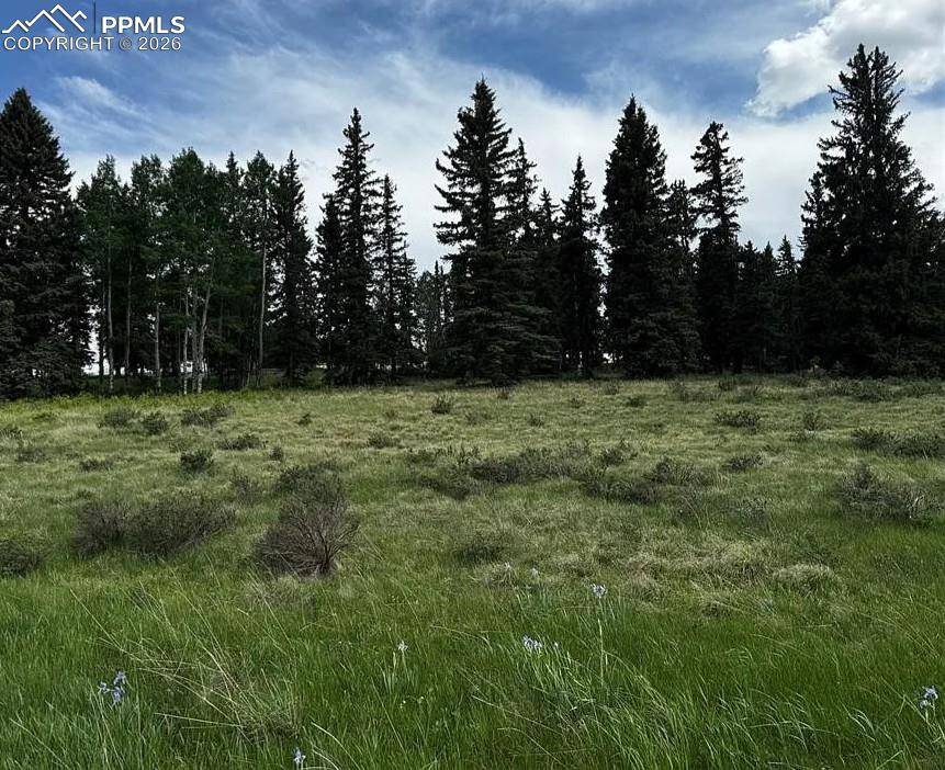 Divide, CO 80814,199 Joshua RD