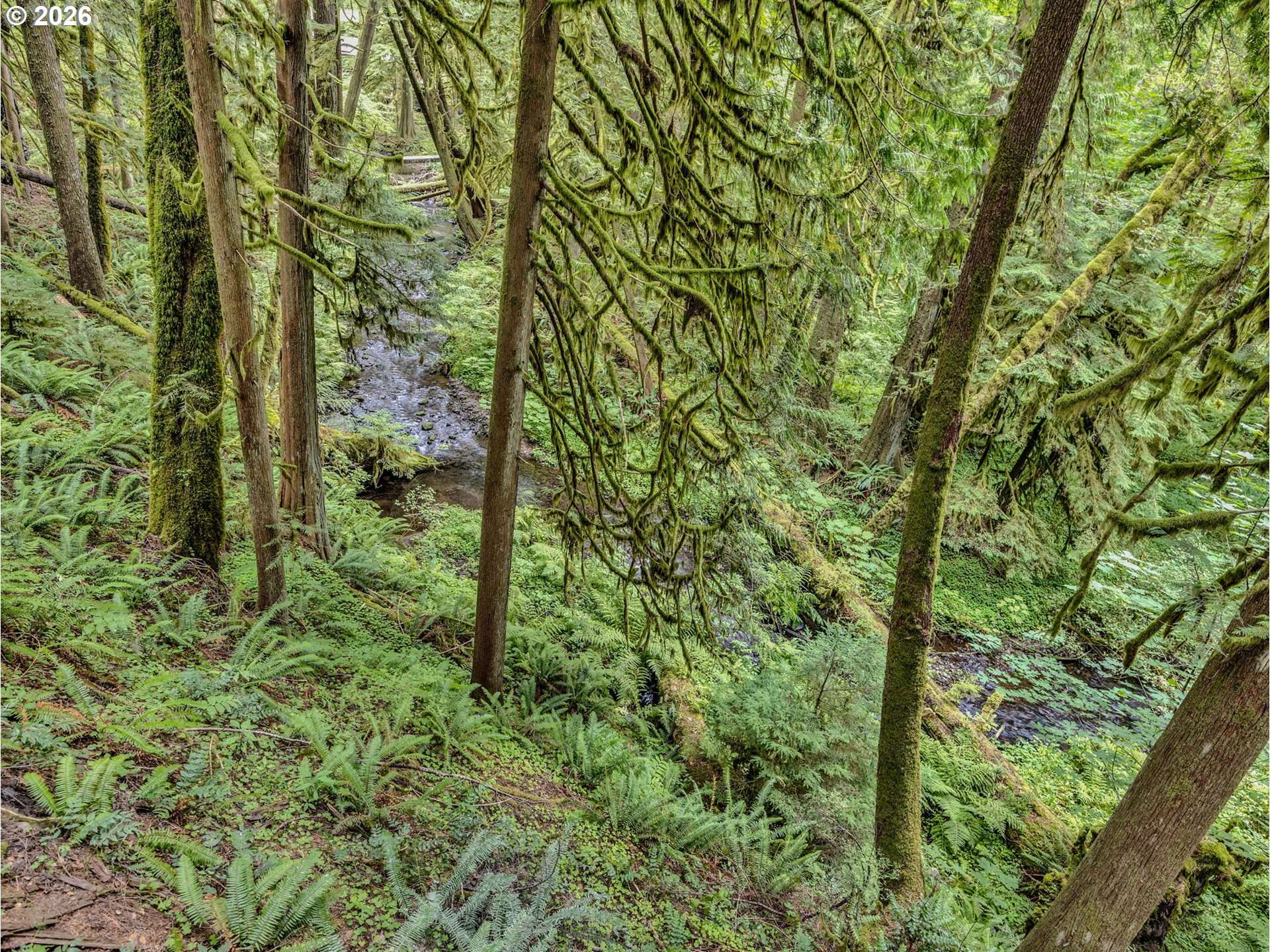 Rhododendron, OR 97049,26467 E HENRY CREEK RD