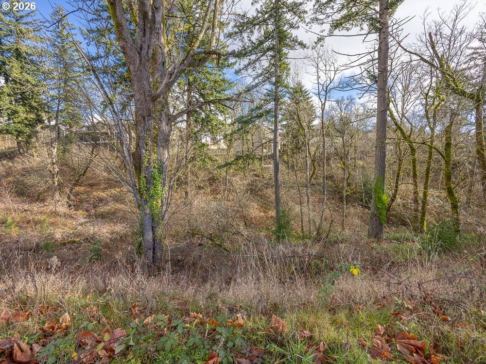 Camas, WA 98607,4701 SE ASCENSION DR