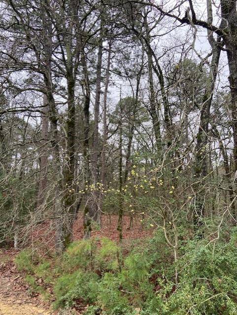 Hawkins, TX 75765,2529 CR 3540