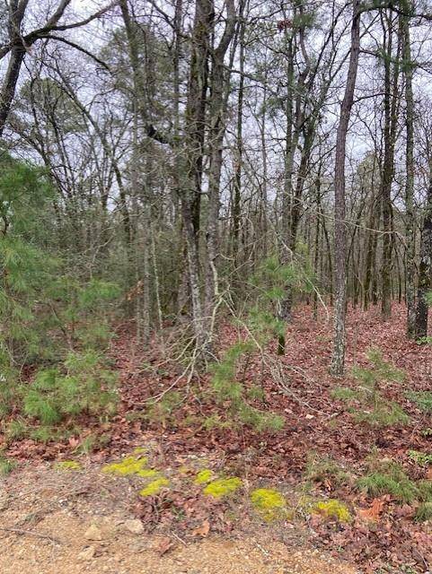 Hawkins, TX 75765,2529 CR 3540