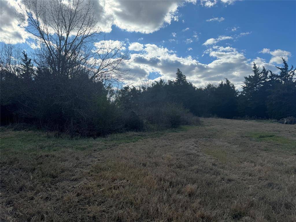 Pickton, TX 75471,29 Acres County Road 2400