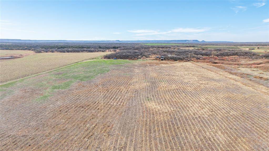 Abilene, TX 79606,182 County Road 256