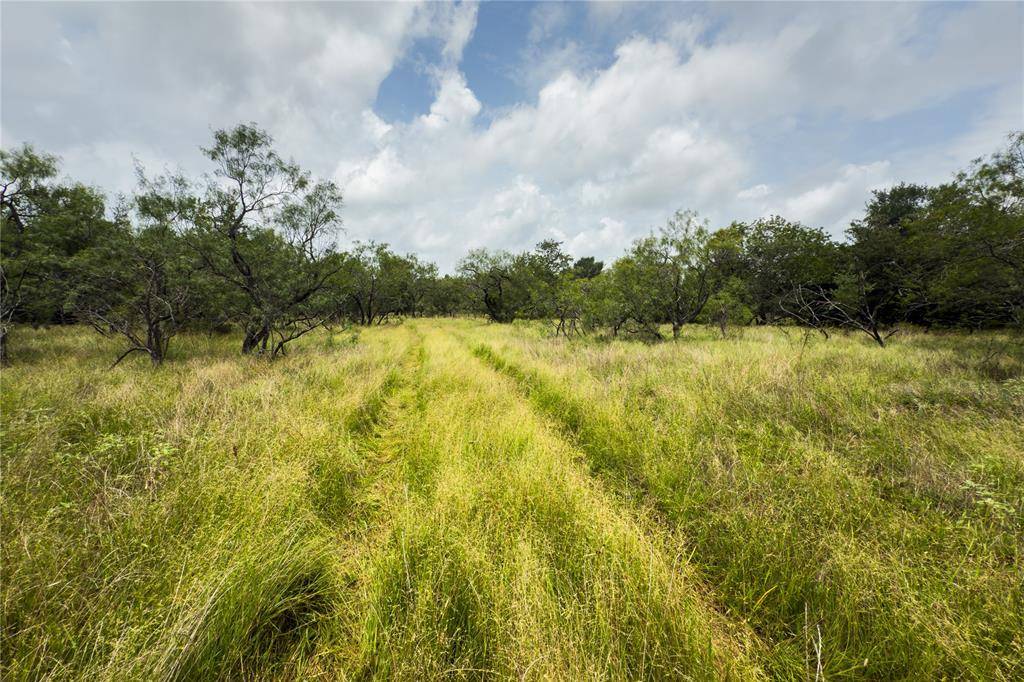 Marlin, TX 76661,Lot 1 County Road 173
