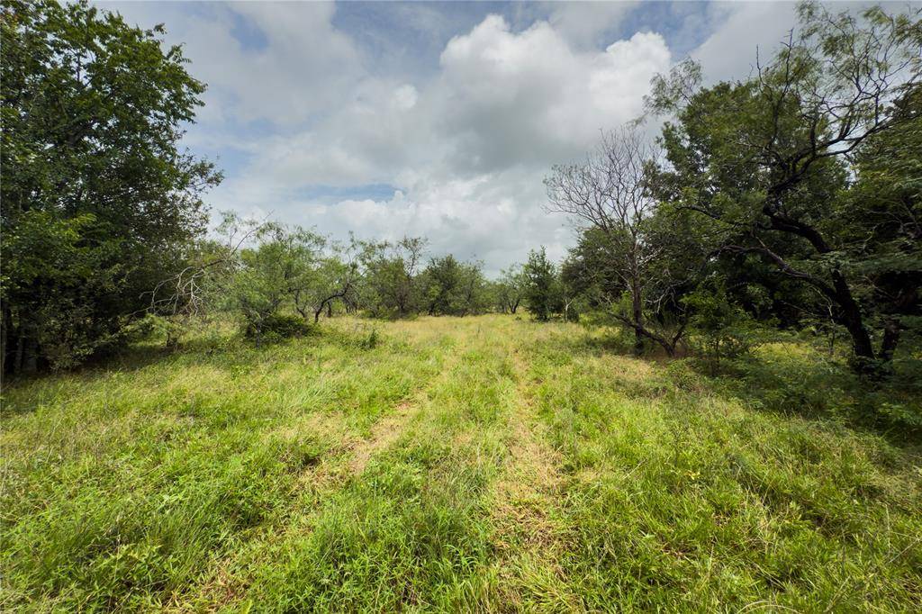 Marlin, TX 76661,Lot 1 County Road 173