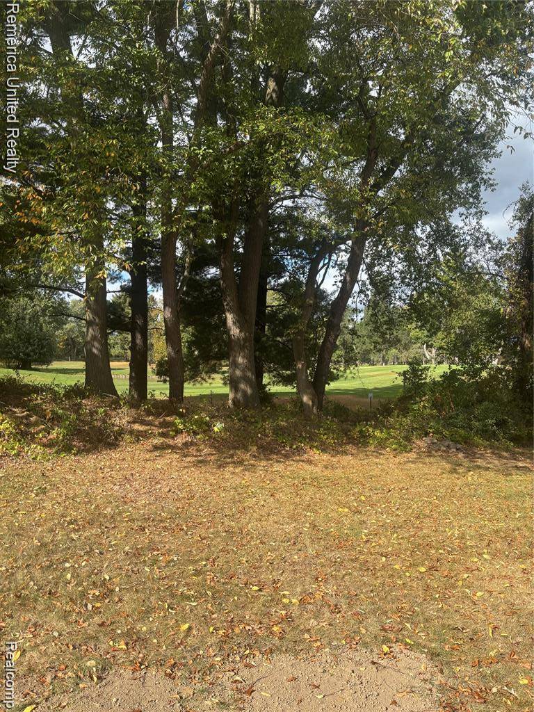 Brooklyn, MI 49230,154 Golfview DR