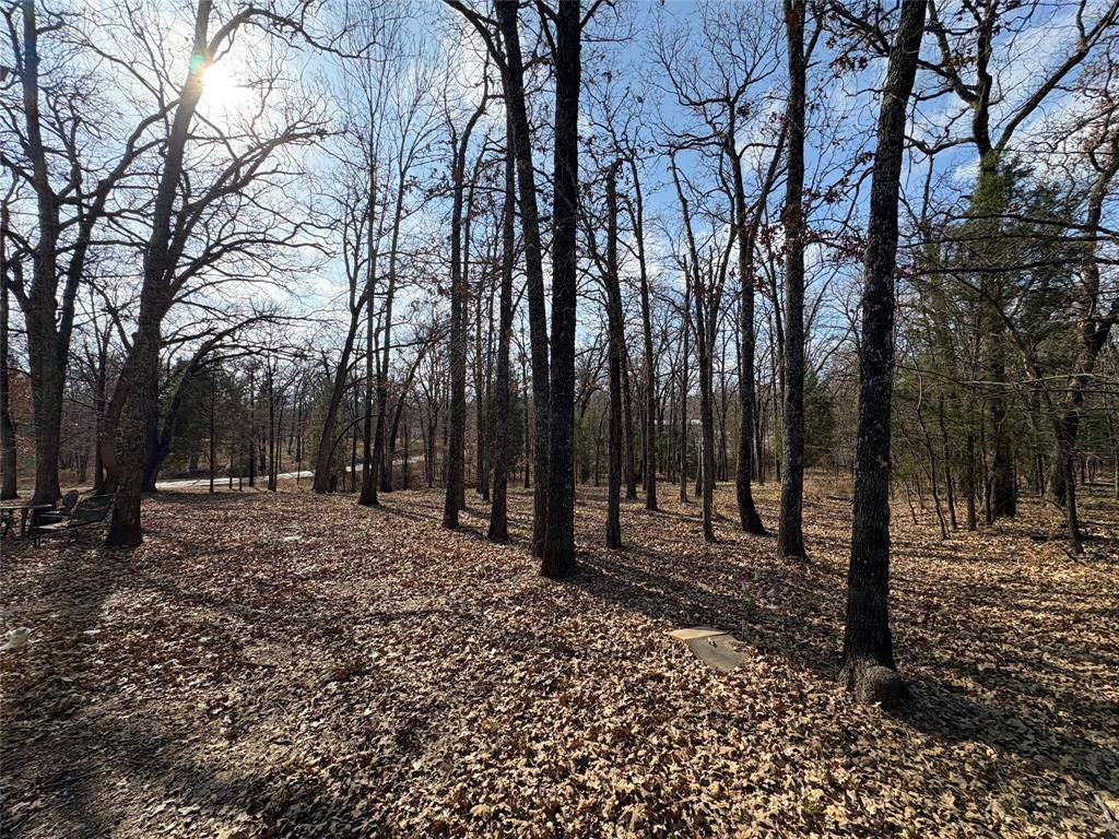 Mabank, TX 75156,103 Elm Street