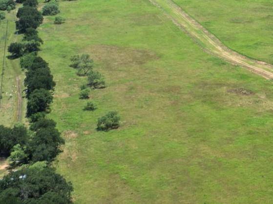 Mineral Wells, TX 76067,Lot 8 Buckeye Trail