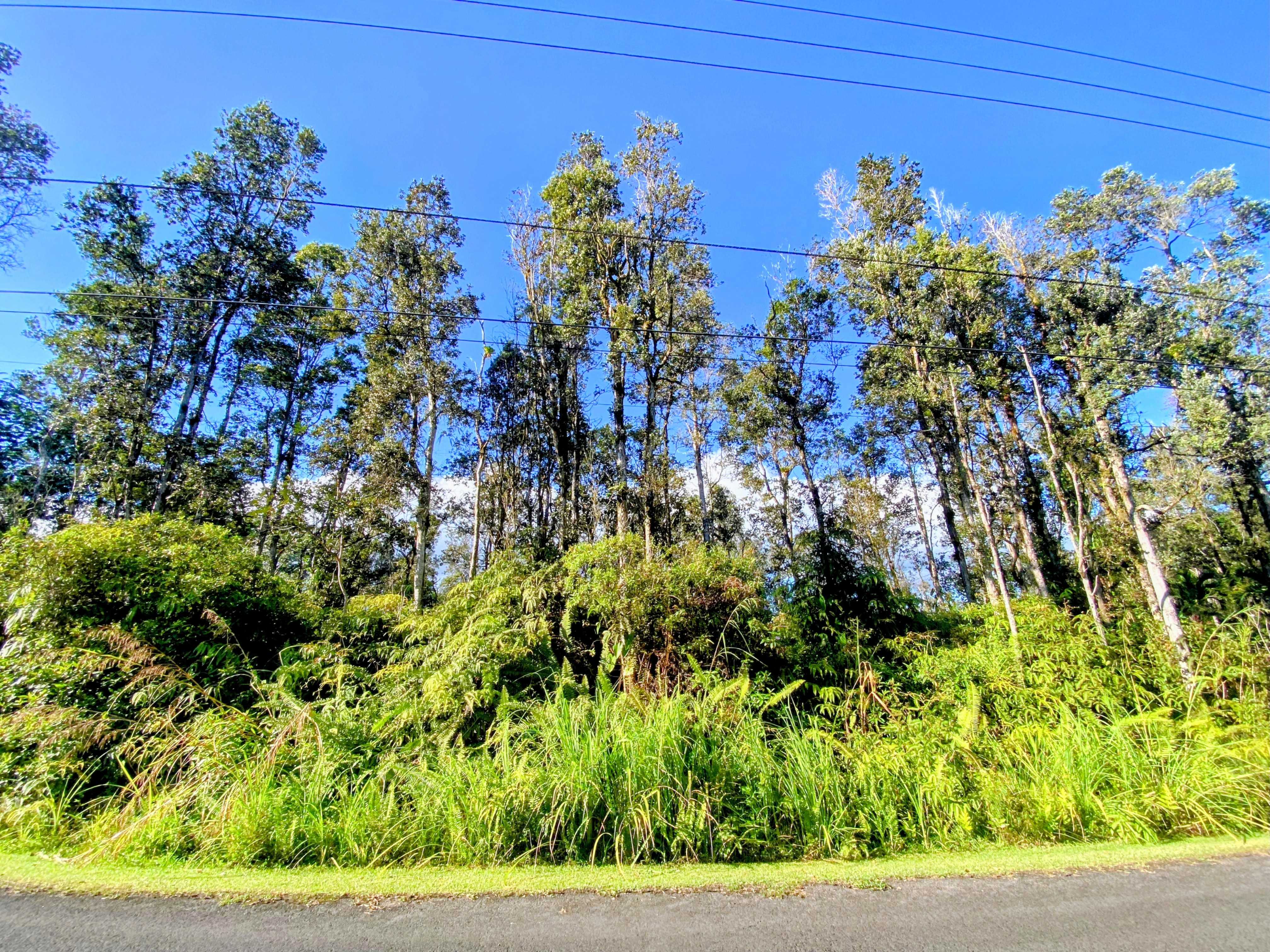 Pahoa, HI 96778,KAHUKAI ST