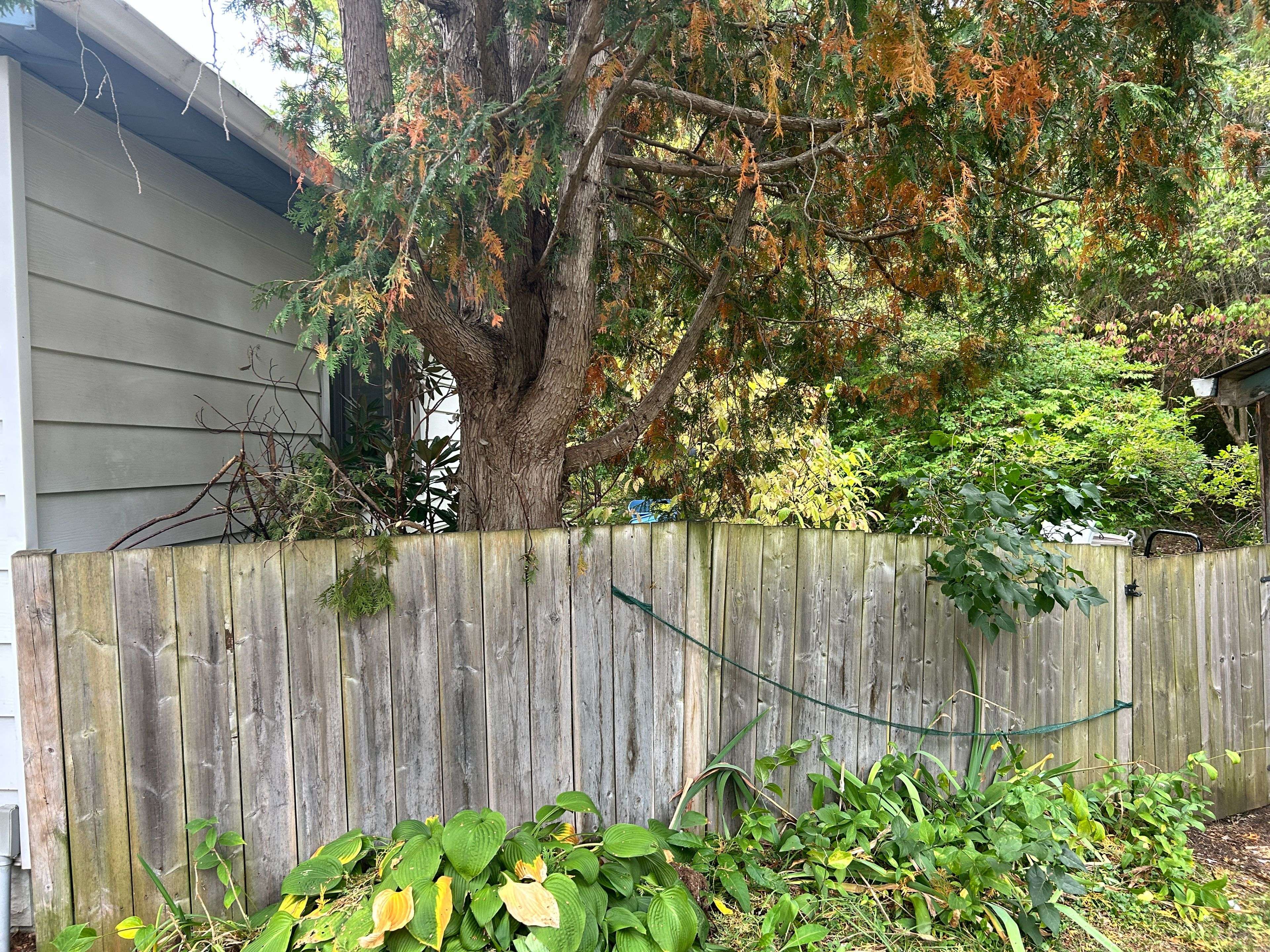 East Gwillimbury, ON L9N 1G6,66 Bradford ST