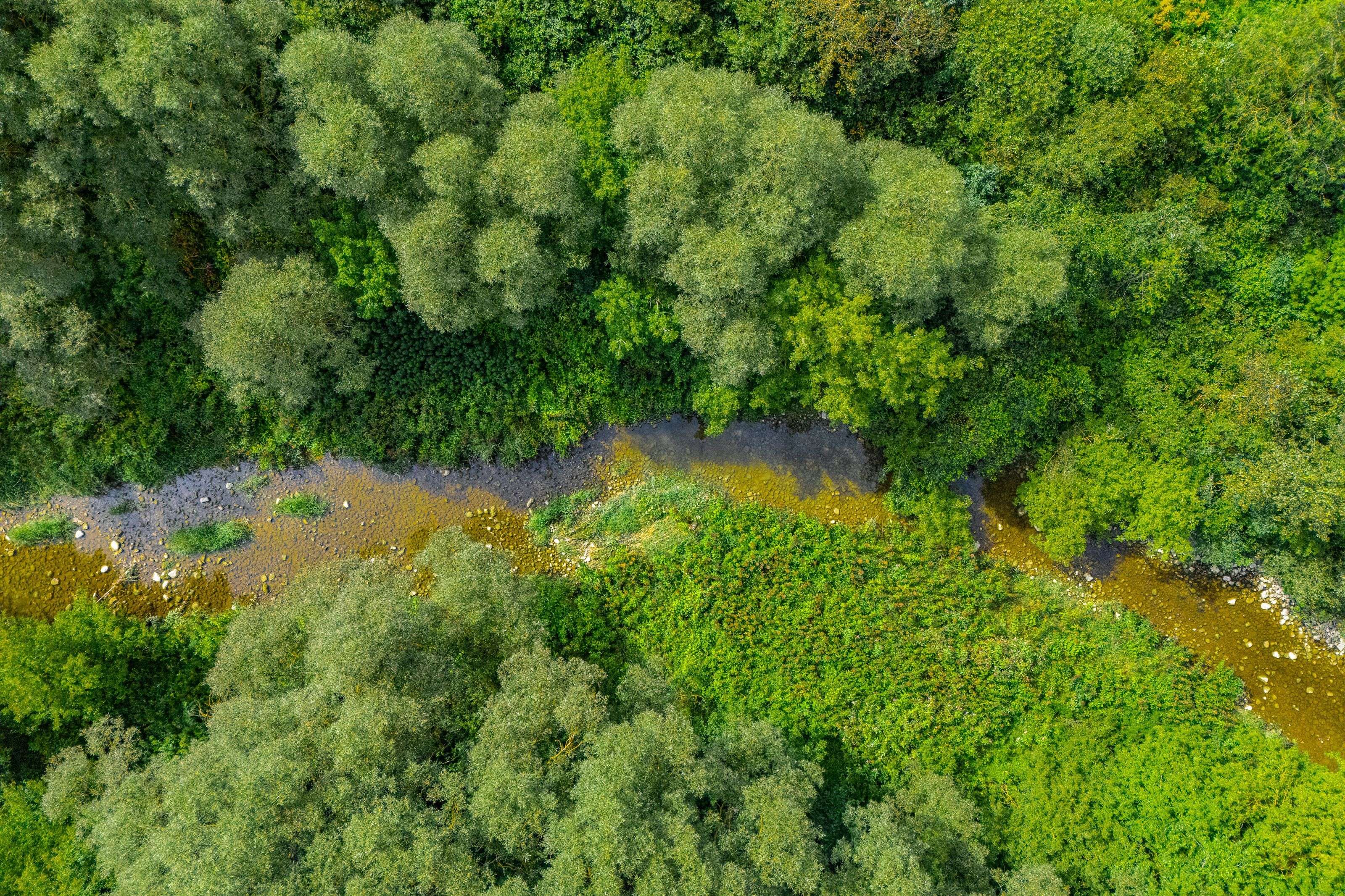 Wellington North, ON N0G 1A0,7916 Wellington Road 109 N/A