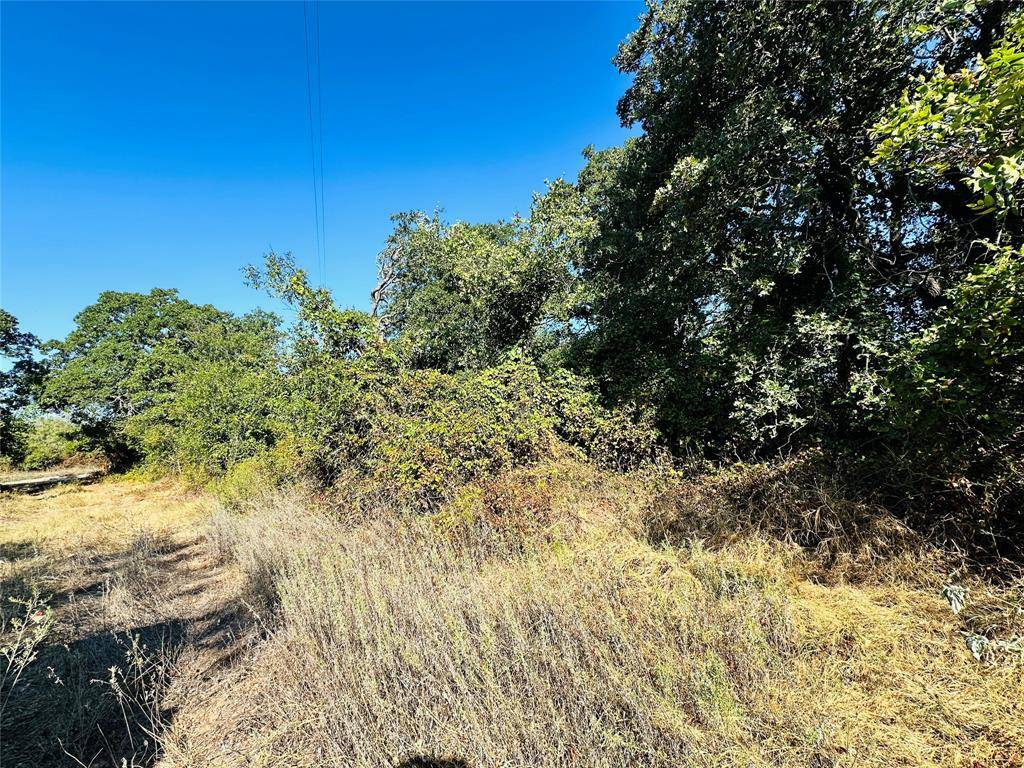 Cross Plains, TX 76443,TBD County road 429