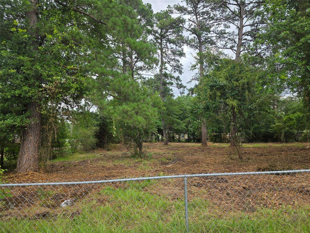 Chandler, TX 75758,20812 Clinton