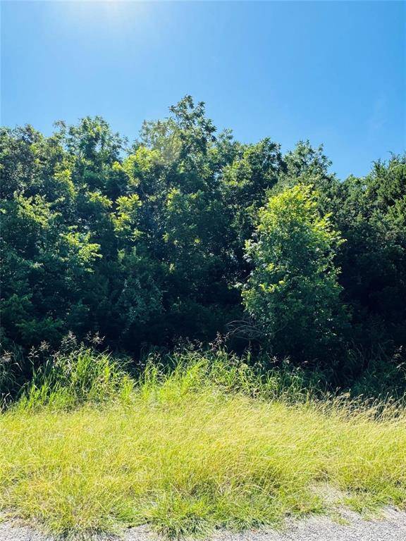 Whitney, TX 76692,1277 Paint Brush Court