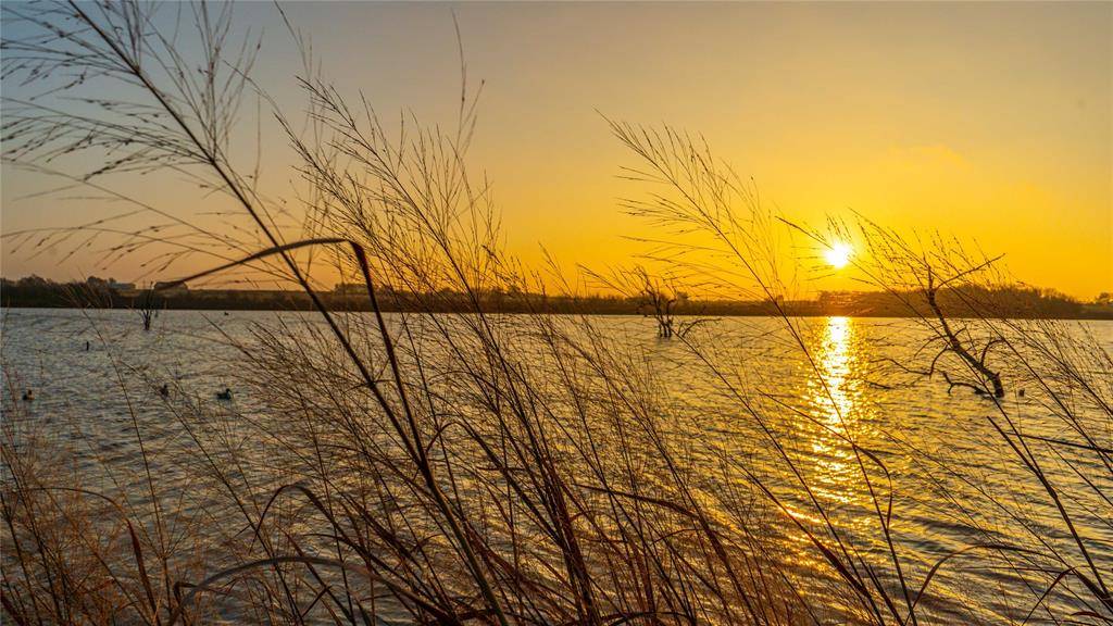 Temple, TX 76501,UNK Camp Creek Road