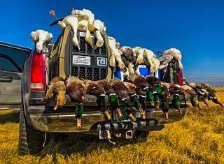 Temple, TX 76501,UNK Camp Creek Road