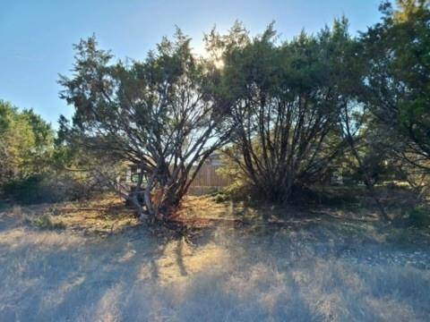 Granbury, TX 76048,2527 Mercedes Street