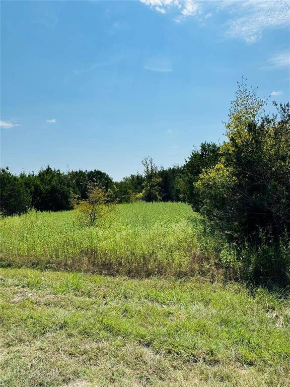 Whitney, TX 76692,36060 Cedar Ridge Drive