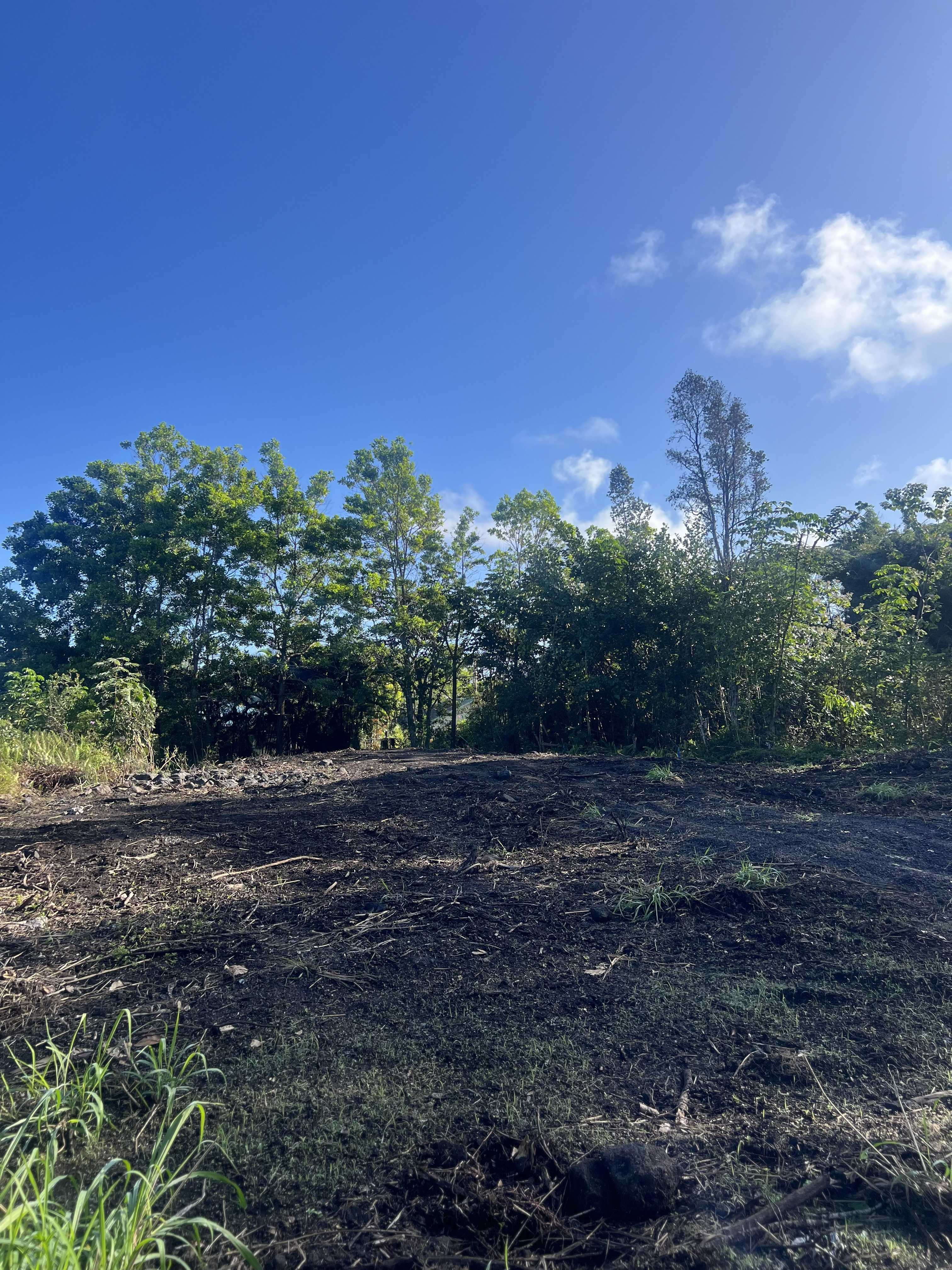 Pahoa, HI 96778,KALA ST