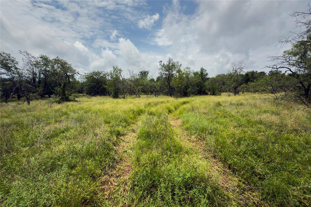 Marlin, TX 76661,Lot 4 County Road 173