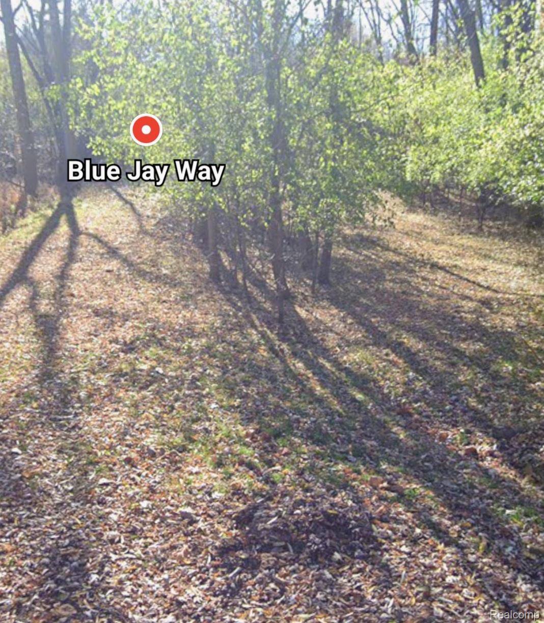 West Bloomfield, MI 48322,00000 Blue Jay Way LN