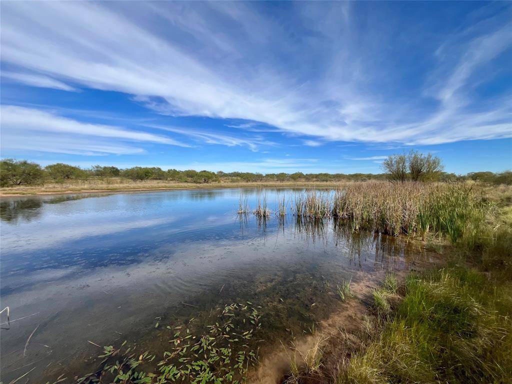 Bryson, TX 76427,000 Fm 175